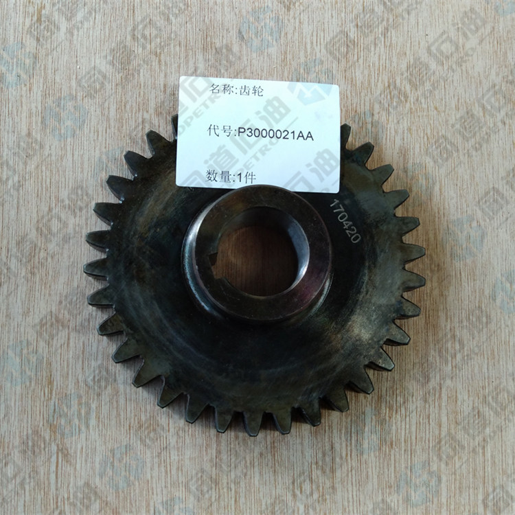 P3000021AA齒輪